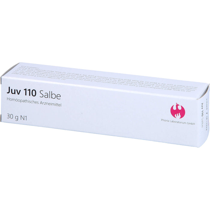 JUV 110 Salbe, 30 g Onguent