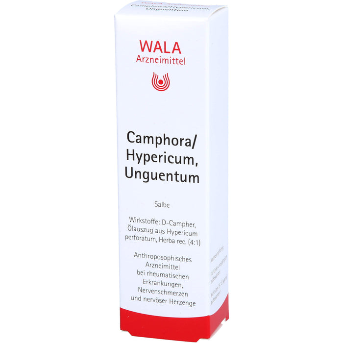 Camphora/Hypericum, Unguentum Wala, Salbe, 30 g SAL