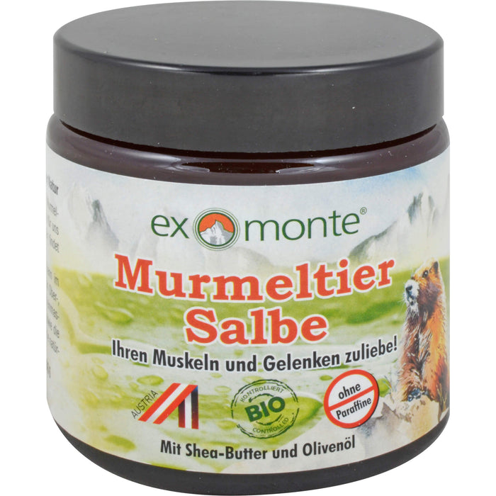 exmonte Murmeltiersalbe, 100 ml Salbe