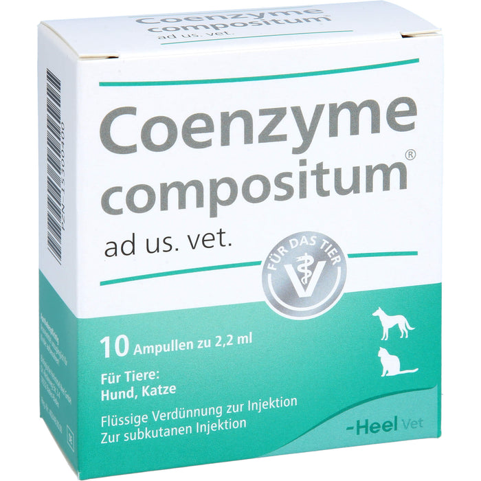 Coenzyme compositum ad us. vet. flüssige Verdünnung für Hund und Katze, 10 pc Ampoules