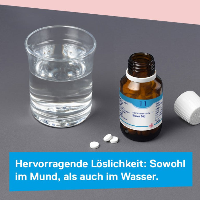 DHU Schüßler-Salz Nr. 11 Silicea D12 – Das Mineralsalz der Haare, der Haut und des Bindegewebes – das Original – umweltfreundlich im Arzneiglas, 900 St. Tabletten