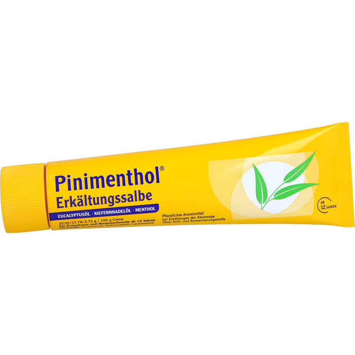 Pinimenthol Erkältungssalbe, 100 g Crème