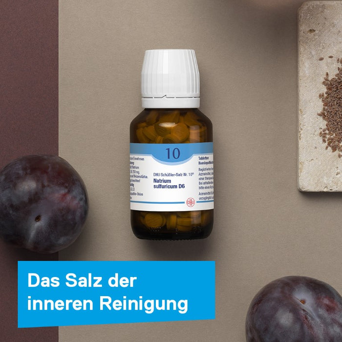 DHU Schüßler-Salz Nr. 10 Natrium sulfuricum D12 – Das Mineralsalz der inneren Reinigung – das Original – umweltfreundlich im Arzneiglas, 900 St. Tabletten