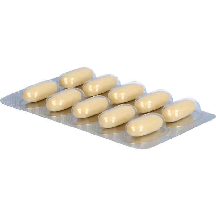 Natu-hepa 600 mg Tabletten bei Verdauungsbeschwerden, 50 pcs. Tablets