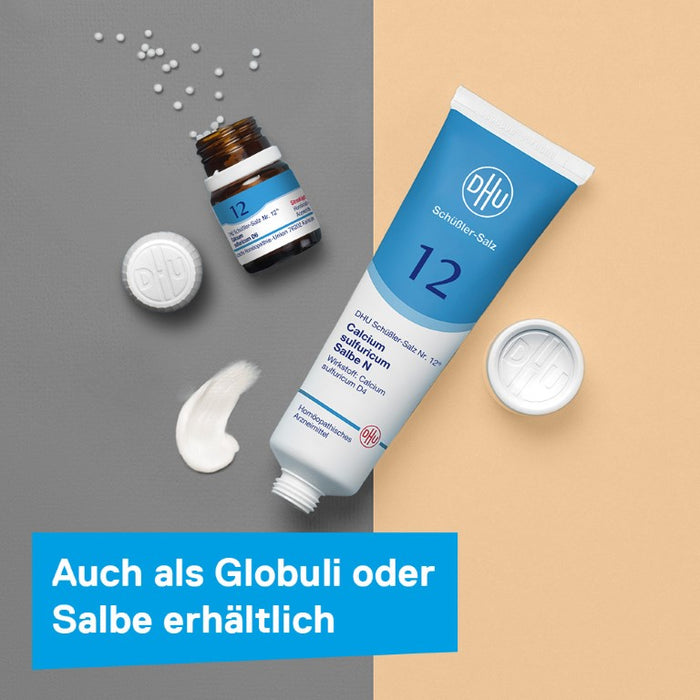 DHU Schüßler-Salz Nr. 12 Calcium sulfuricum D12 – Das Mineralsalz der Gelenke – das Original – umweltfreundlich im Arzneiglas, 900 St. Tabletten