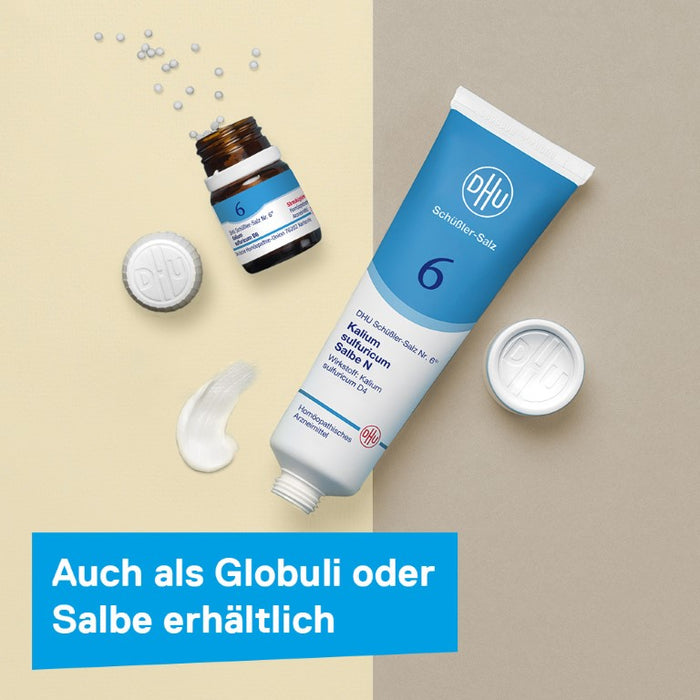 DHU Schüßler-Salz Nr. 6 Kalium sulfuricum D6 – Das Mineralsalz der Entschlackung – das Original – umweltfreundlich im Arzneiglas, 900 pcs. Tablets