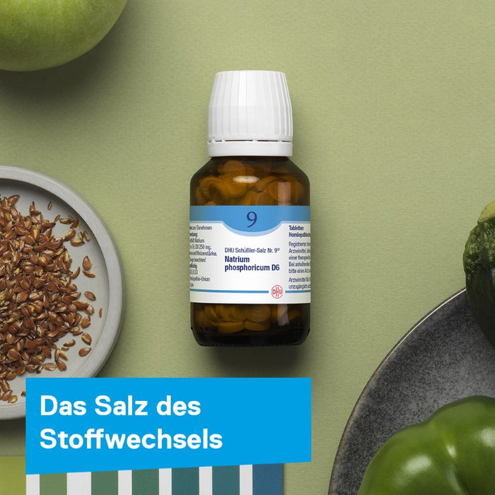 DHU Schüßler-Salz Nr. 9 Natrium phosphoricum D6 – Das Mineralsalz des Stoffwechsels – das Original – umweltfreundlich im Arzneiglas, 900 pcs. Tablets